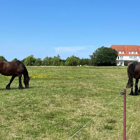 Διαμέρισμα 