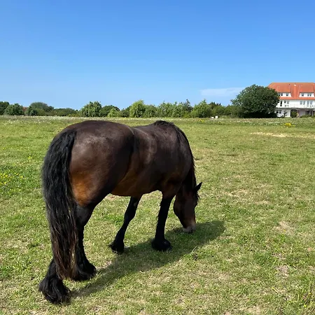 Διαμέρισμα 