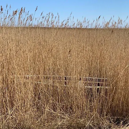 Διαμέρισμα 