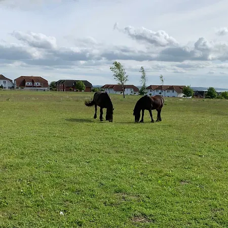 Διαμέρισμα 